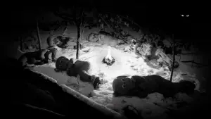 Задник до фильму"Hundreds of Beavers" #756250