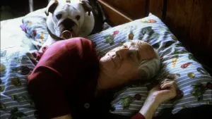 Задник до фильму"Містер Маґу" #432029