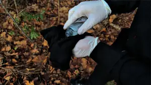 Задник до фильму"Femte Mission" #775993