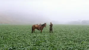 Задник до фильму"Нафта" #624091