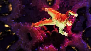 Задник до фильму"Супербрати Маріо" #809773