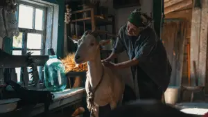 Задник до фильму"Війна очима тварин" #692705