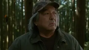 Задник до фильму"Сутінки. Сага: Новий місяць" #774477