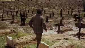 Задник до фильму"Хороший, поганий, злий" #582122