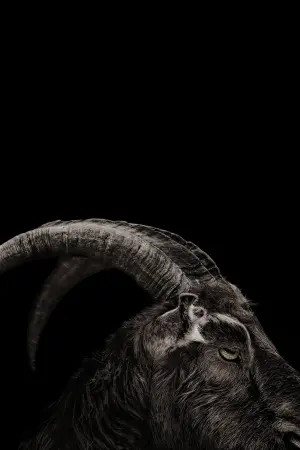 Постер до фильму"Відьма" #251888