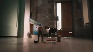 Задник до фильму"Людина, що зменшується" #526987