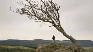 Задник до фильму"Німфоманка: Частина 2" #265878