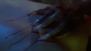 Задник до фильму"Виття" #725949