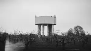 Задник до фильму"Terraforms" #782443