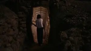 Задник до фильму"טרופיקנה" #788972