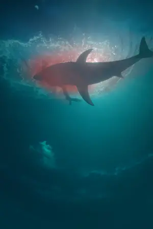 Постер до фильму"" #162443