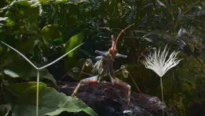 Задник до фильму"" #658504