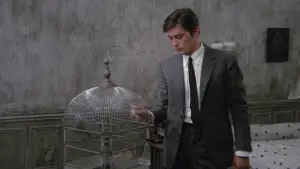 Задник до фильму"Самурай" #722697