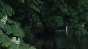 Задник до фильму"" #716766