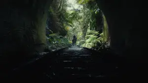 Задник до фильму"Королівство планети мавп" #315158