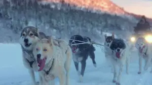 Задник до фильму"" #536115