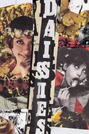 Маргаритки