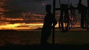 Задник до фильму"Форрест Ґамп" #528565