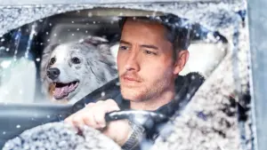 Задник до фильму"Щоденник Ноель" #292226