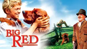 Задник до фильму"" #743543