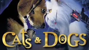 Кішки проти собак