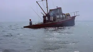 Задник до фильму"Щелепи" #768247