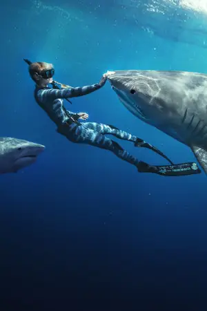 Постер до фильму"Заклиначка акул" #793240