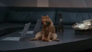 Задник до фильму"Марвели" #605017