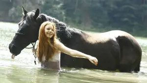 Задник до фильму"Східний вітер" #673033