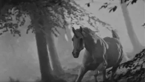 Задник до фильму"Той, хто біжить по лезу" #563423