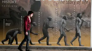 Задник до фильму"Тепло наших тіл" #690365