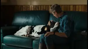 Задник до фильму"" #700486