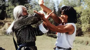 Відео до фільму Безстрашна Гієна | The Fearless Hyena (1979) ORIGINAL TRAILER [HD 1080p]