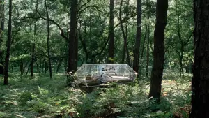 Задник до фильму"Древо життя" #723970