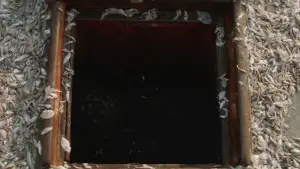 Задник до фильму"" #649144