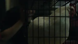 Задник до фильму"Соціальна мережа" #588890