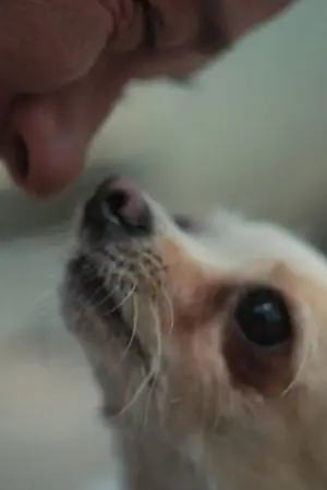 Постер до фильму"" #467753