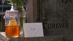 Задник до фильму"Смажені зелені помідори" #809848