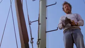 Задник до фильму"Щелепи" #768231