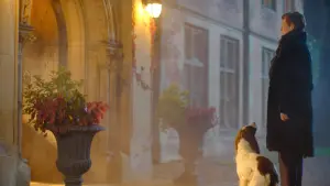 Задник до фильму"Вічна донька" #379800