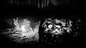 Задник до фильму"Hundreds of Beavers" #756255