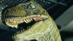 Задник до фильму"Парк Юрського періоду" #598064