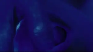 Задник до фильму"Вартові" #223630