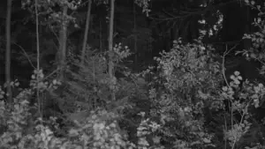 Задник до фильму"Дзеркало" #751455