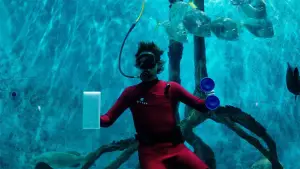 Задник до фильму"Mermaid" #767197