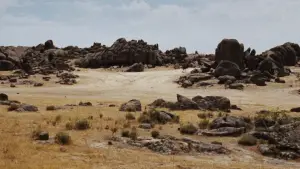 Задник до фильму"Хороший, поганий, злий" #582100