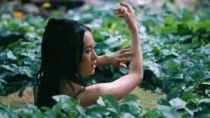 Задник до фильму"Будинок літаючих кинджалів" #809684