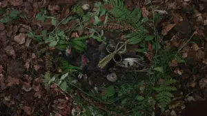 Задник до фильму"Гамнет" #760836