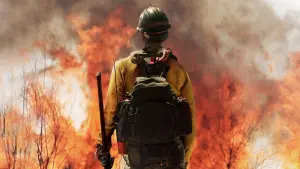 Задник до фильму"Вогнеборці" #375084