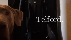 Задник до фильму"Telford." #770409